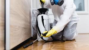 Best Pest Control for Multi-Family Homes  in Kings Point, NY